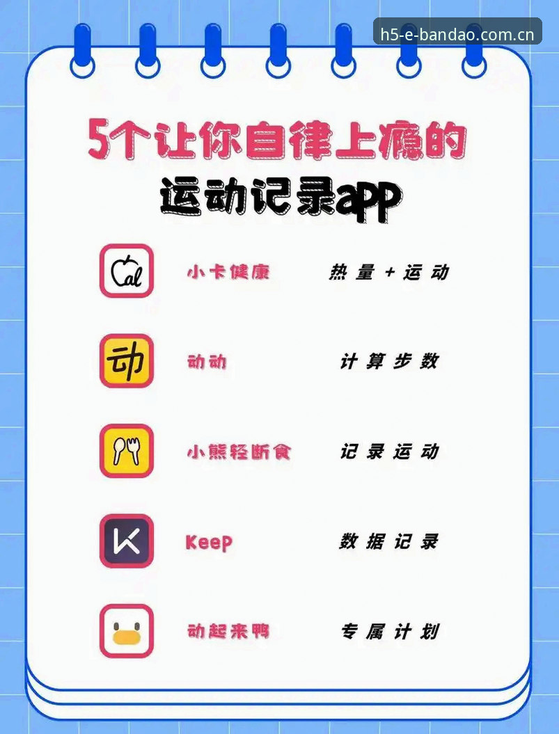 半岛官网APP哪个好 半岛体育平台APP选择实用指南:从下载到注册的高效方案