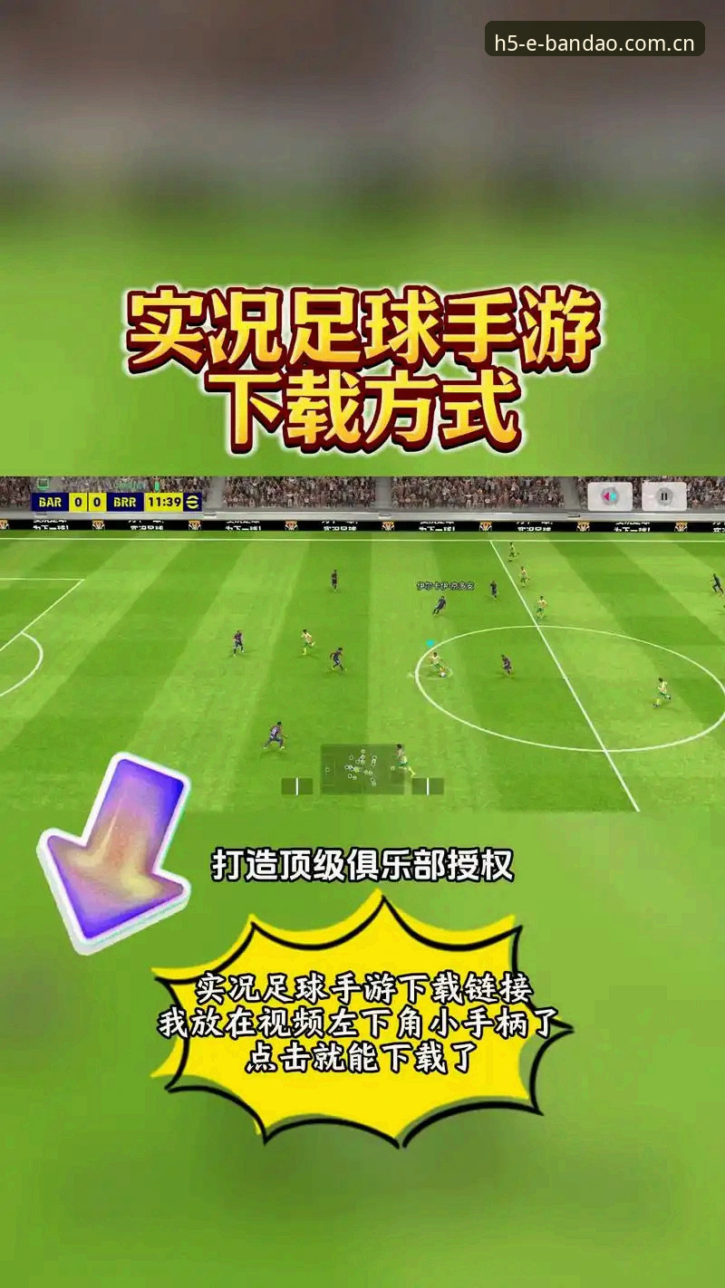 半岛体育平台2024最新动态：如何选对官方入口，用户体验大揭秘